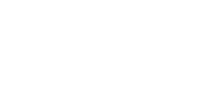 The Wave logo